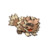 263 Zigzagoon Icon